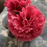みなとの画像