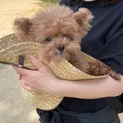 nanaの画像