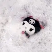 ぬんの画像