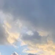 ラム肉