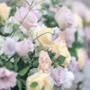 ミッキー（全て即購入可）の画像
