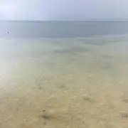 mの画像