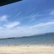 まい