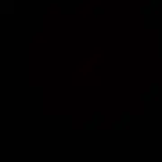 パイナップル