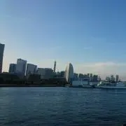 Major.Tomの画像