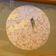 春爛漫の画像