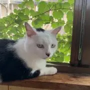 とぺ。