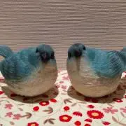 シルキーの画像