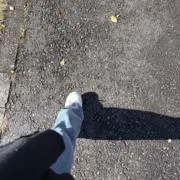 みみの画像