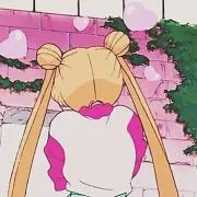 華の画像
