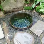 MTの画像