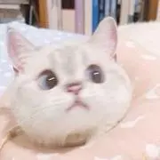 しゅぷ^._.^