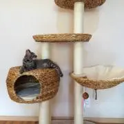 すなお