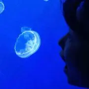 みんみ