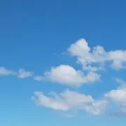 7/25まで！パピ☆断捨離セール中☆の画像