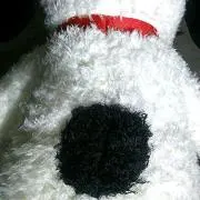 ホワイトぽんた