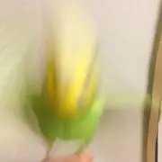 chloroの画像