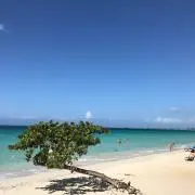Yuの画像