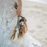 みの画像