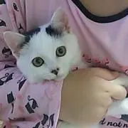 まるん☆ミの画像