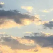 はなはなの画像