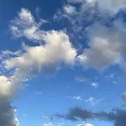 かさぶた