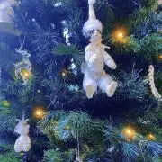 Happy☆の画像