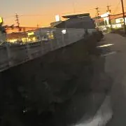 かにの画像