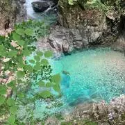 しゅうの画像
