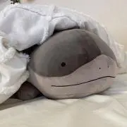 miiiの画像