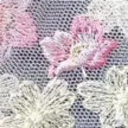 mamyの画像