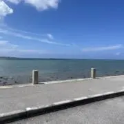 エスの画像