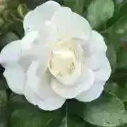 yunyの画像