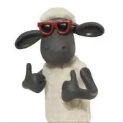 め