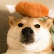 fumikoの画像