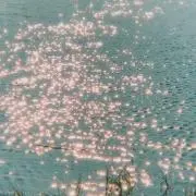 すずきの画像