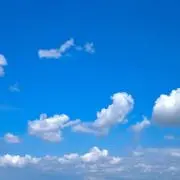NLの画像