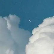 すずの画像