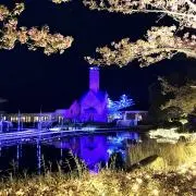 もかちゃんの画像