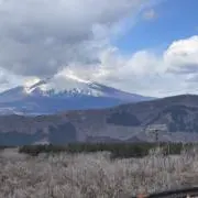 しろの画像