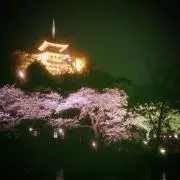 ももかりの画像