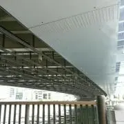 ふじりんの画像