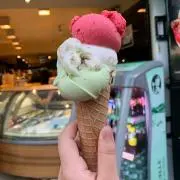みゅえるの画像
