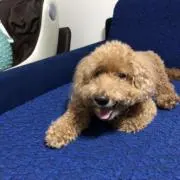 まー