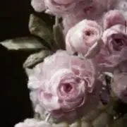 マーチャン