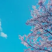 ういの画像