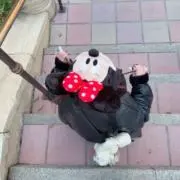 りぼんの画像