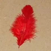 R.の画像
