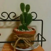 さくらんぼ
