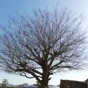 .:*:・'°空.。*